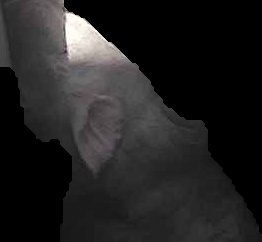 Crop