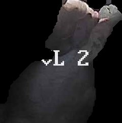 Crop
