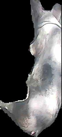 Crop