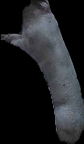 Crop
