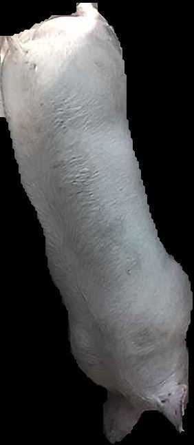 Crop