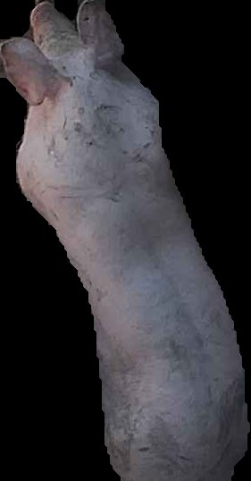 Crop