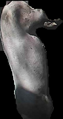 Crop
