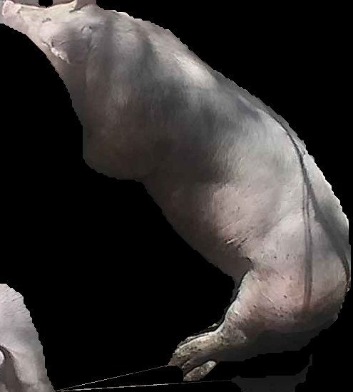 Crop