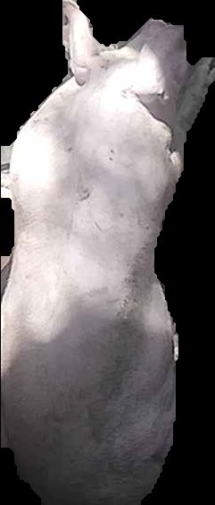 Crop