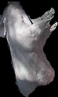Crop