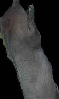 Crop