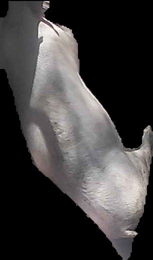 Crop
