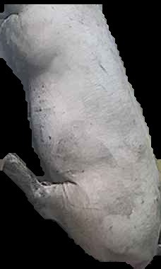 Crop