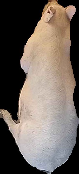 Crop