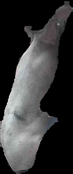 Crop