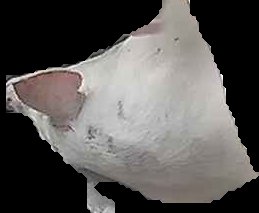 Crop