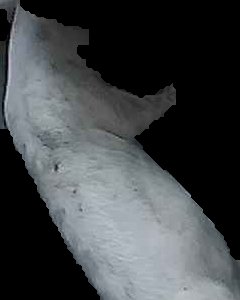 Crop