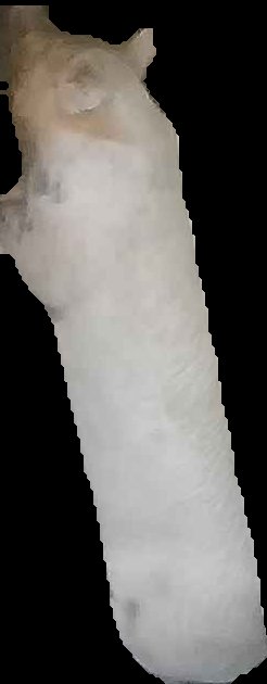 Crop