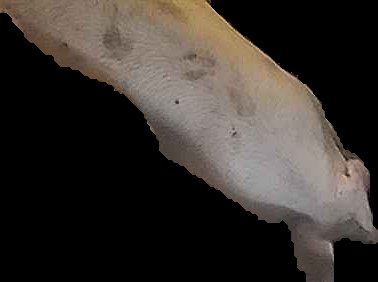 Crop