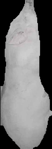 Crop