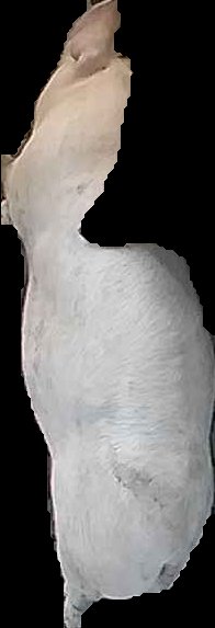Crop