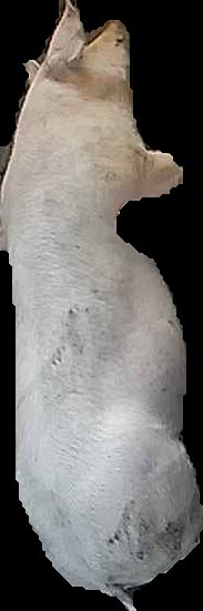 Crop