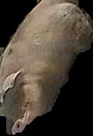 Crop