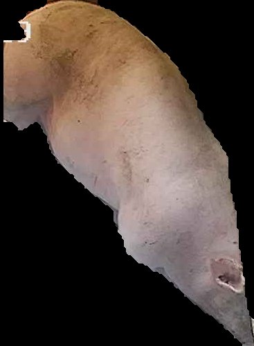 Crop