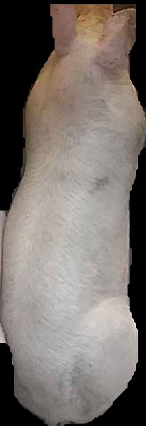Crop
