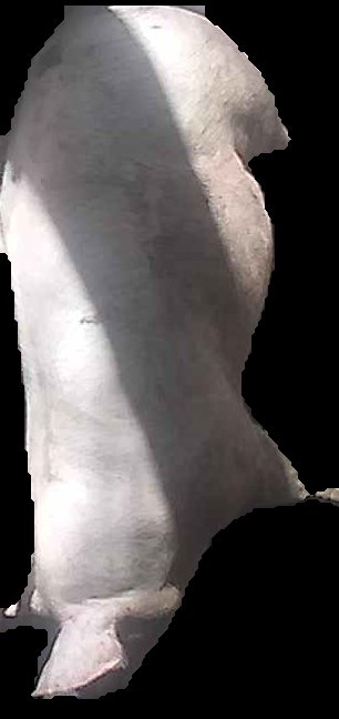 Crop