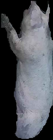 Crop