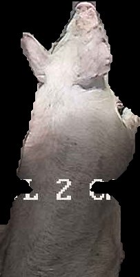 Crop