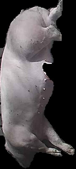 Crop