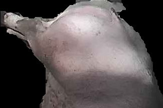 Crop