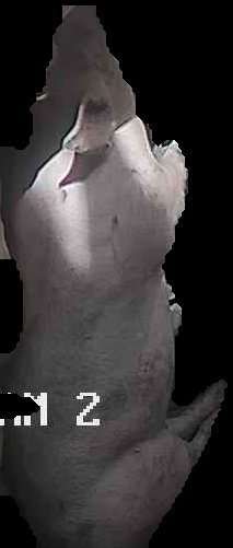 Crop