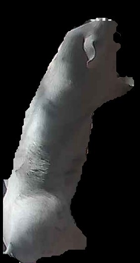 Crop