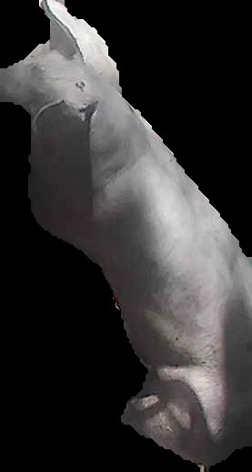 Crop