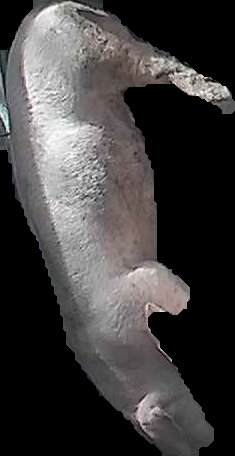 Crop