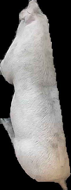 Crop