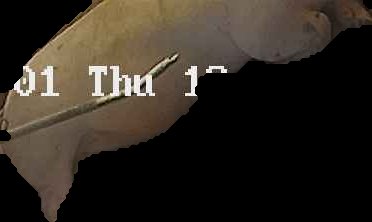 Crop