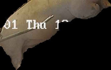 Crop
