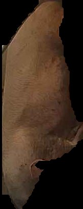 Crop