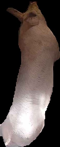 Crop