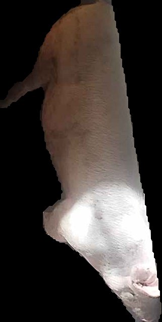 Crop