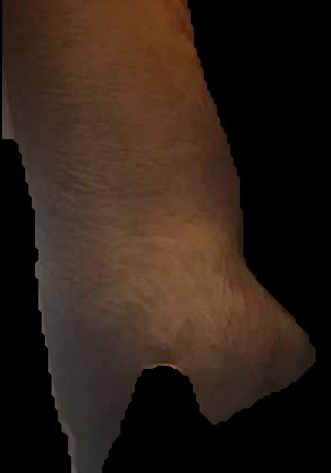 Crop