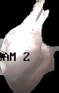 Crop