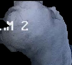 Crop