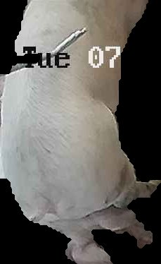Crop