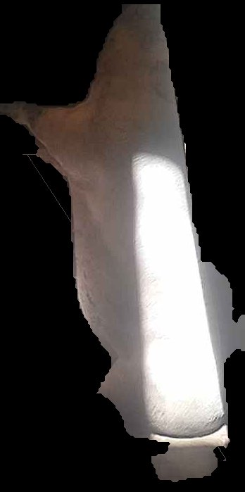 Crop