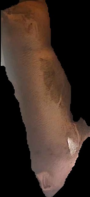 Crop