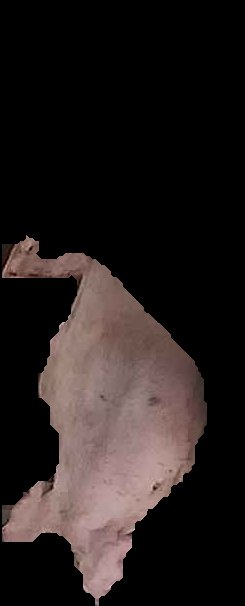 Crop