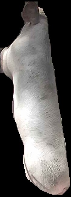 Crop