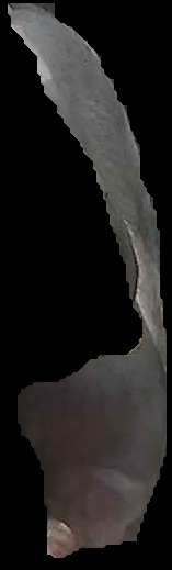 Crop