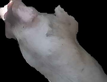 Crop